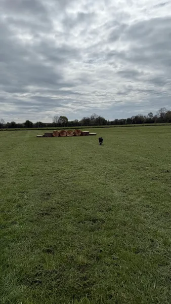 Eva's Green secure private dog field in Somerton, TA11 7BD
