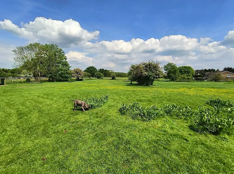 Paws On The Run secure private dog field in Stoke Poges, SL2 4EJ