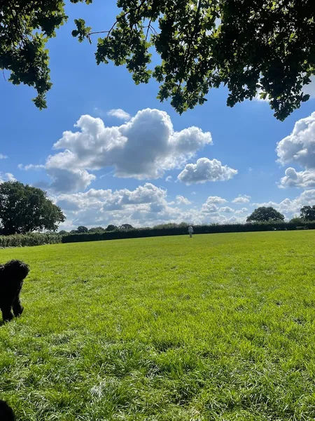 Gwalia fields secure private dog field in Overton, LL13 0LG
