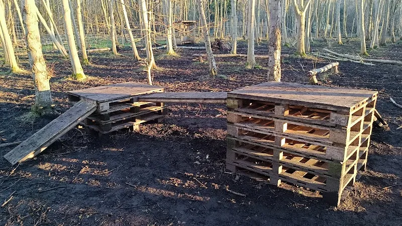 Dog park at the woods secure private dog field in Little Ouseburn, YO26 9TH