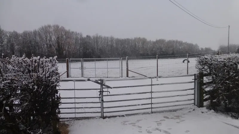 California Dog Field secure private dog field in South Milford, LS25 5BP