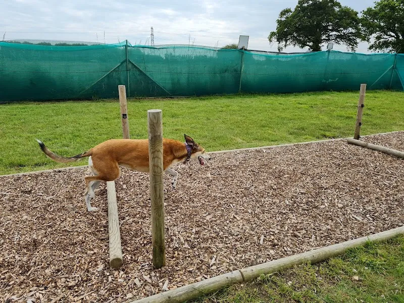 Doggy Retreat secure private dog field in Hambrook, PO18 8UJ