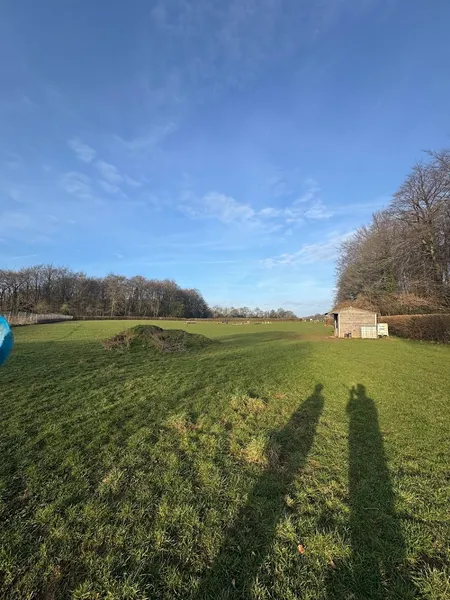 Long Meadow Walk Field Rental secure private dog field in Shirenewton, NP166AG
