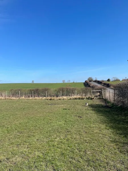Doggy play night and day secure private dog field in Stockton-on-Tees, TS21 3JA