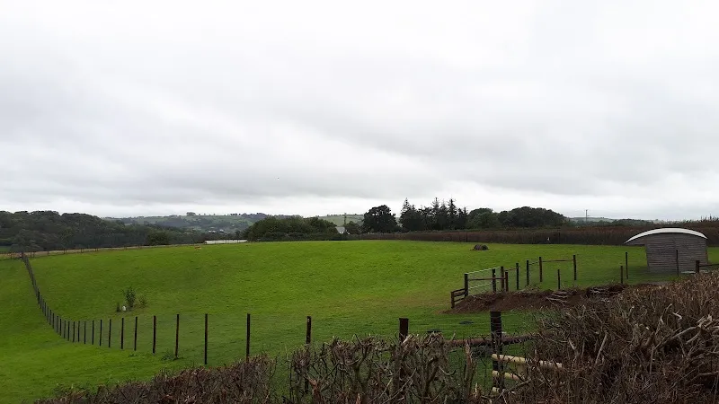 Wanderlust Walkies secure private dog field in Totnes, TQ9 6NA