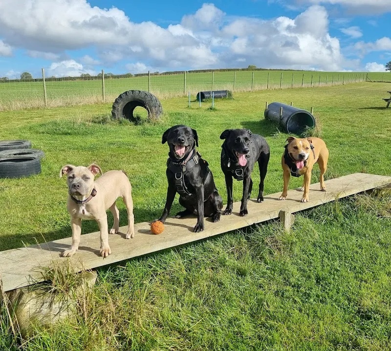 Run Free at Freeby secure private dog field in Freeby, LE14 2RY