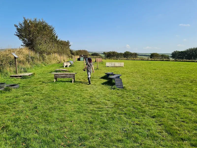 North Devon Secure Dog Walking Field secure private dog field in Barnstaple, EX31 4TN