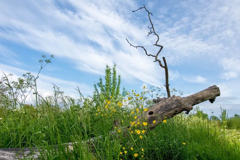 Happy Hounds Secure Dog Walking Field secure private dog field in Gloucestershire, GL2 7JS