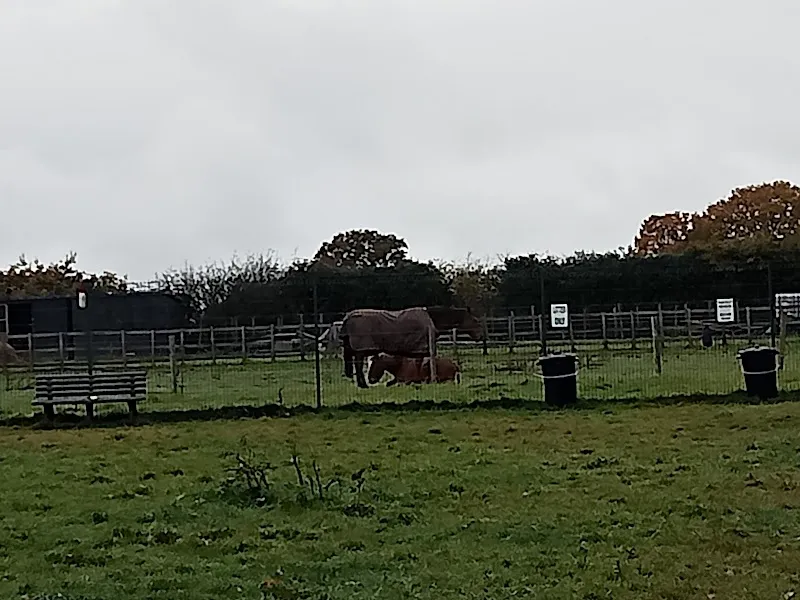 Tithe Barn Paddocks secure private dog field in Chorley, WS15 4LR