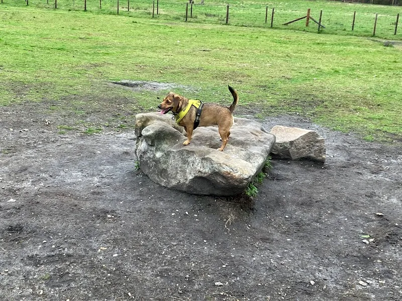 Hoof & Woof secure private dog field in Farnborough, GU16 6DS