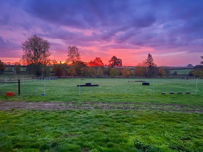 Grounds Farm Dog Walking Field secure private dog field in Buckingham, MK18 5DP