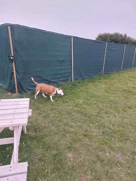 Lichfield K9 Fields secure private dog field in Lichfield, WS14 9JN