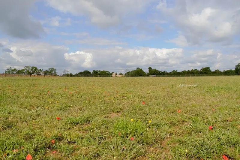 Moulton Dog Walking Field secure private dog field in Northampton, NN3 7QN