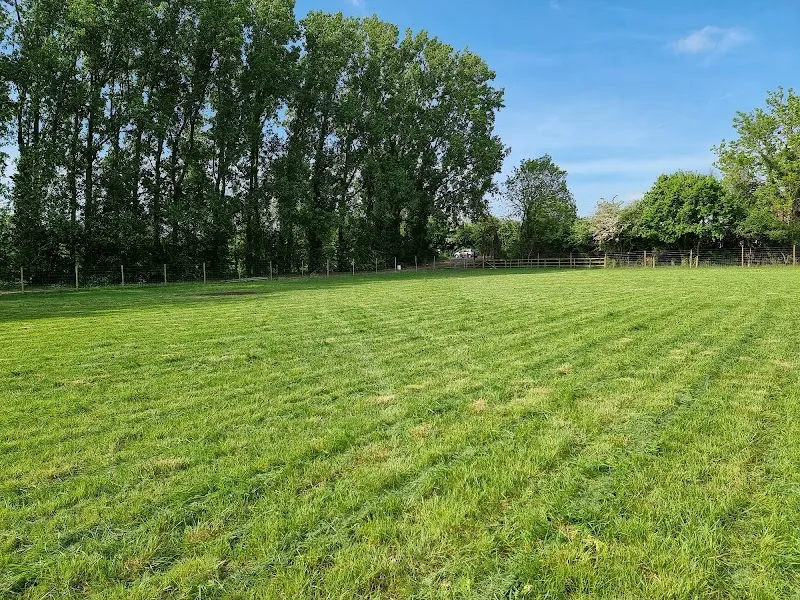 Wickhamford Woofs secure private dog field in Evesham, WR11 7RP