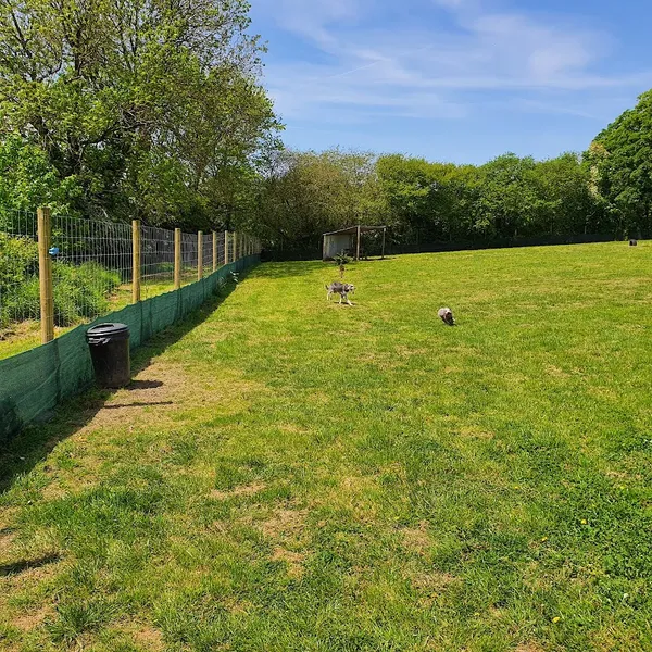 Grampound Secure Dog Walking Field secure private dog field in Truro, TR2 4ST