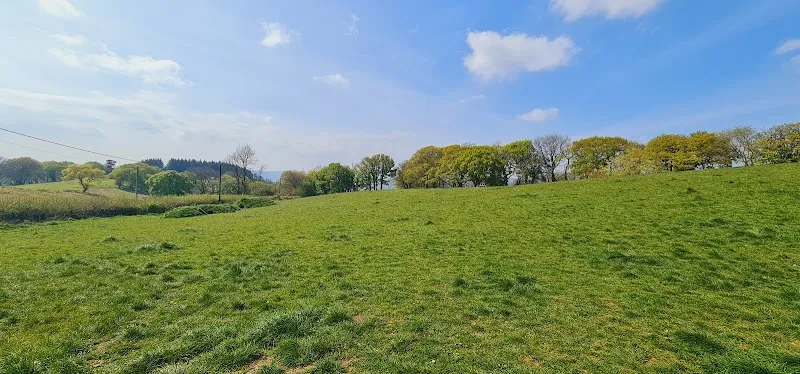 Vale View Dog Playing Field secure private dog field in Cardiff, CF15 9NQ