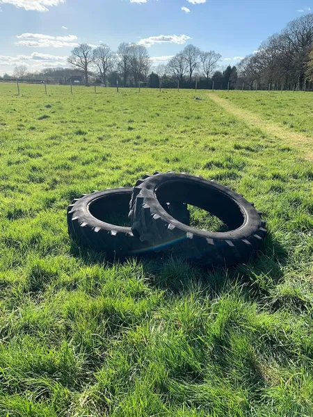 Furry Friends Freedom Field secure private dog field in Charlwood, RH6 0EL