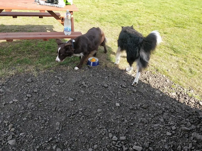 Run Free Dog Fields - Inverkip secure private dog field in Greenock, PA16 0DA