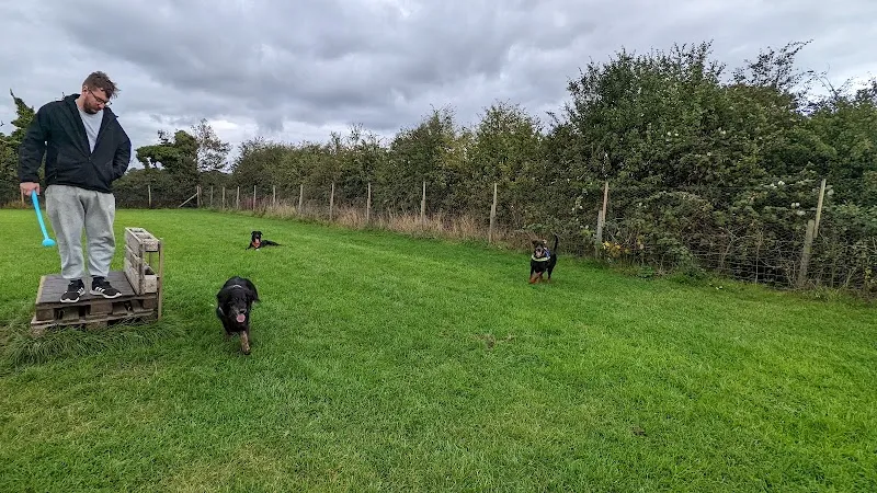 Chester's Dog Walking Field secure private dog field in Preston, PR4 4JN