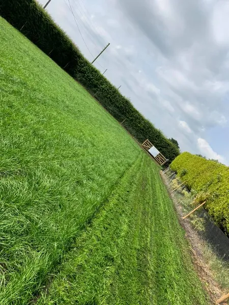 Running Paws Maghull secure private dog field in Merseyside, L31 9AT