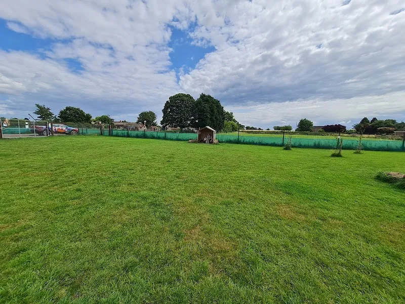 Burt's Haven - Freedom Field Wrangle secure private dog field in Boston, PE22 9BE