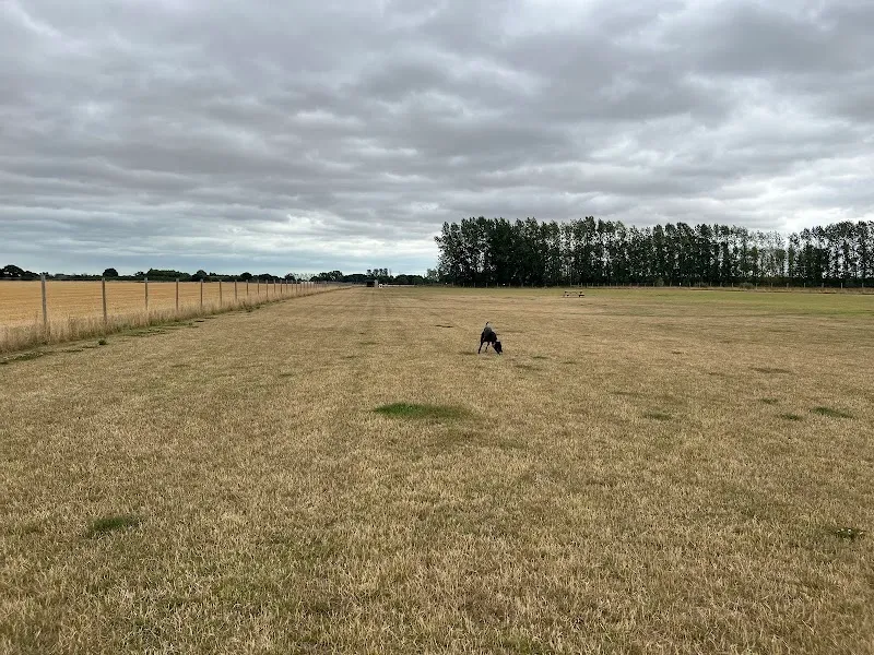 Foxes Fields Farm dog field secure private dog field in Colne Engaine, CO6 2HX