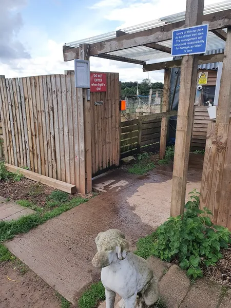Dog Field Hire secure private dog field in Pontprennau, CF14 0HY