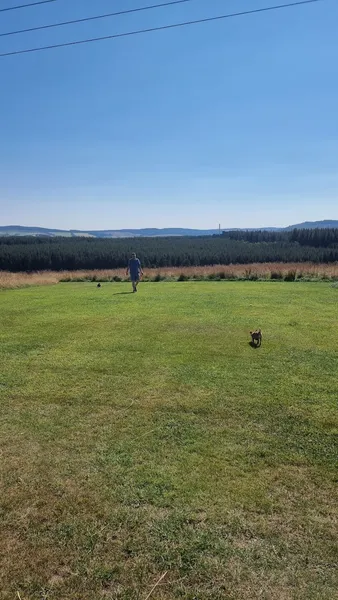 Rabbit Rock Field secure private dog field in Aberlour, AB38 9SQ