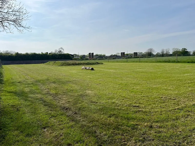 Willow Farm Walkies secure private dog field in Norwich, NR152AT