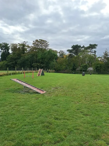Ayrshire’s K9 Play Park secure private dog field in South Ayrshire, KA9 2SQ