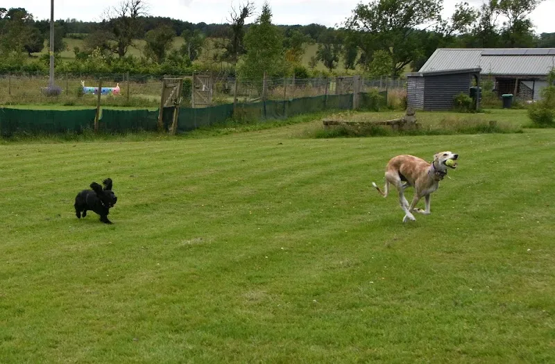 Run Free Dog Fields - Hawick secure private dog field in Hawick, TD9 8PY