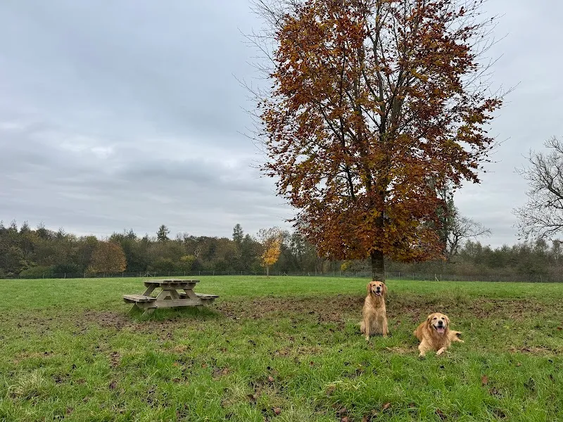 Froyle Dog Park 1301 secure private dog field in Upper Froyle, GU34 4JG