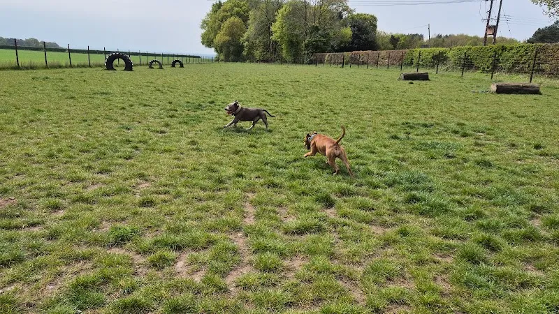 Papplewick Paws Secure Dog Field secure private dog field in Nottingham, NG15 8GB