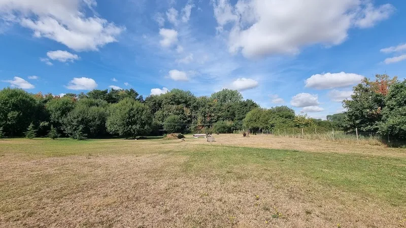 Grange Meadow Dog Walking Field secure private dog field in King's Lynn, PE32 1JR
