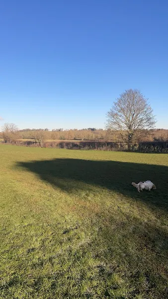 Oaklands Secure Dog Walking secure private dog field in Milcombe, OX15 4HU