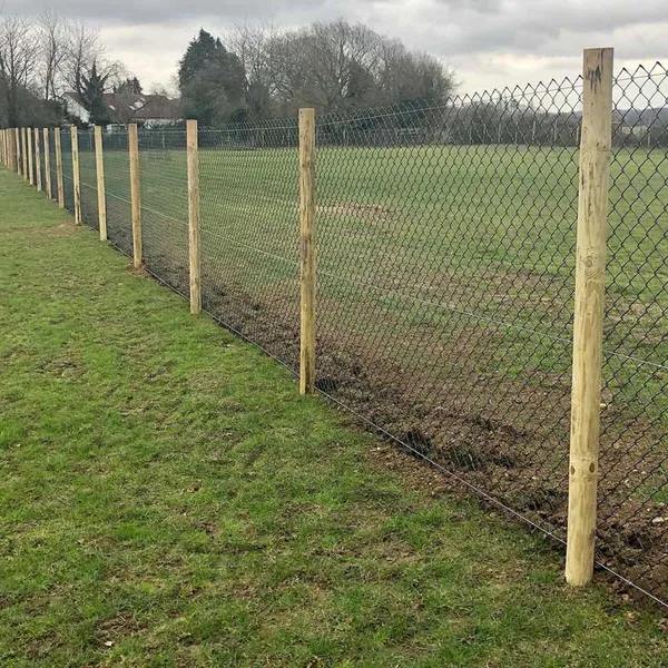 Royal Hounds Dog Park secure private dog field in Gravesend, DA13 0XT