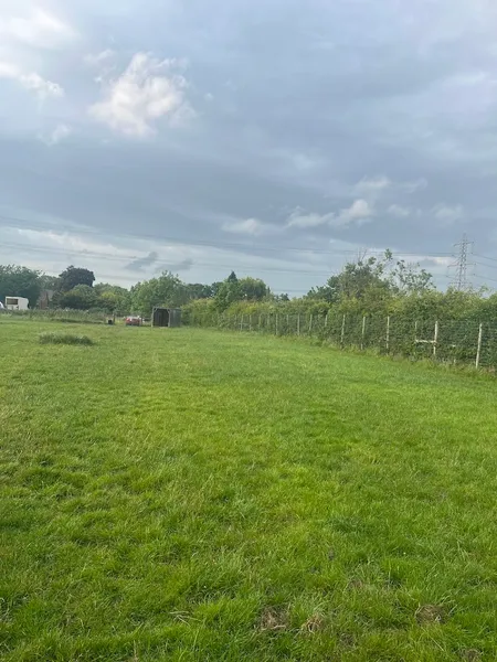 Dog Paddock St Asaph secure private dog field in St Asaph, LL17 0BH