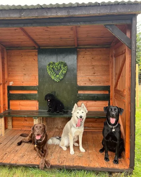 The Dogs Paddocks Adlington secure private dog field in Macclesfield, SK10 4LA