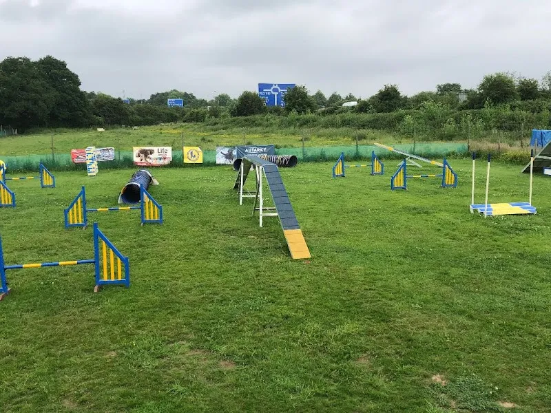 Hampshire Dog Club secure private dog field in Southampton, SO16 0XY