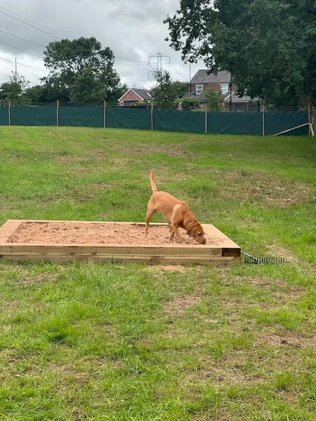 The Dogs Paddocks Hazel Grove secure private dog field in United, SK7 6NJ