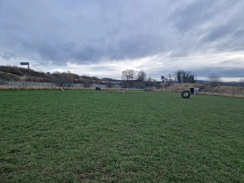 Run Free Dog Fields secure private dog field in Kirkliston, EH29 9FQ