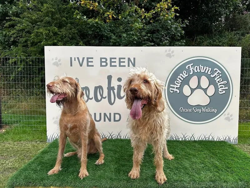 Home Farm Fields secure private dog field in Stafford, ST17 0UX