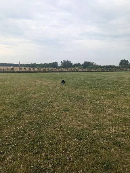 Creaton Dog Walking Park secure private dog field in Creaton, NN6 8NN