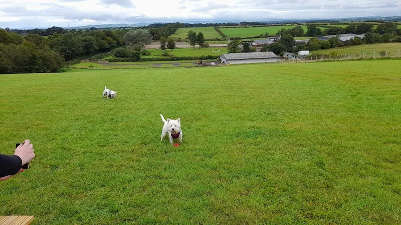 Foxhill dog park secure private dog field in Symington, KA1 5SH