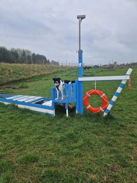 The Stackyard Park Run Free Dog Parks and Puppy Paddock secure private dog field in Midlothian, EH26 8PU