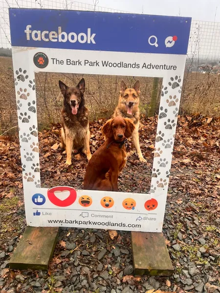 The Bark Park Woodlands Adventure secure private dog field in Essex, CM3 8DQ