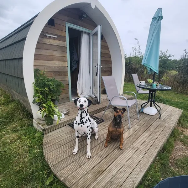 Widget's Farm - Dog Training and Secure Field Hire secure private dog field in Frome, BA11 2PR