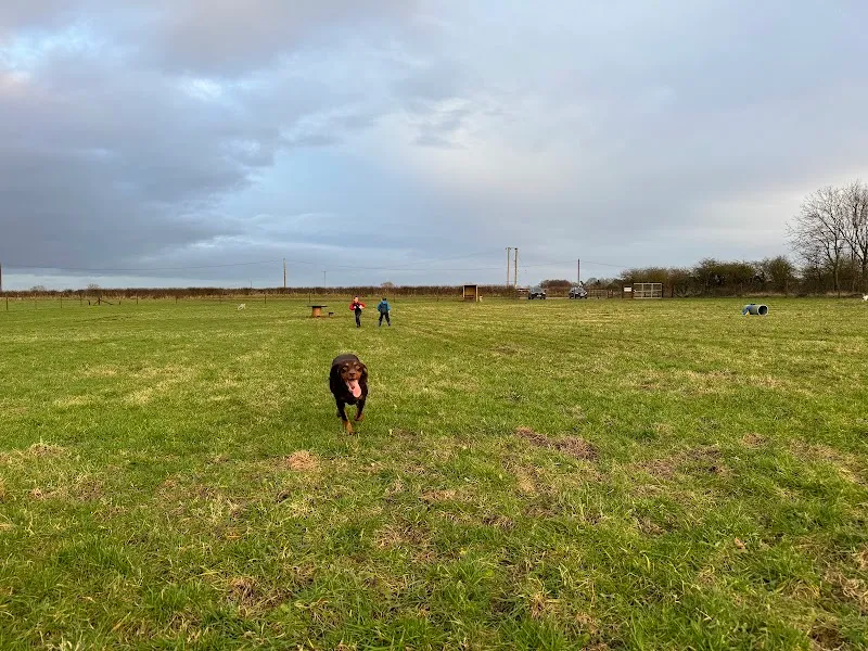 Bawtry Pawfect Secure Dog Field secure private dog field in Doncaster, DN10 6EW