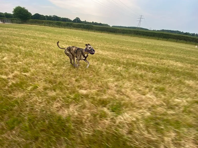 Locko Bark secure private dog field in Derby, DE21 7BU