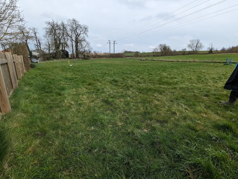 Potters Paddock Dog Walking Field Essex/Suffolk Border secure private dog field in Sudbury, CO10 7JJ